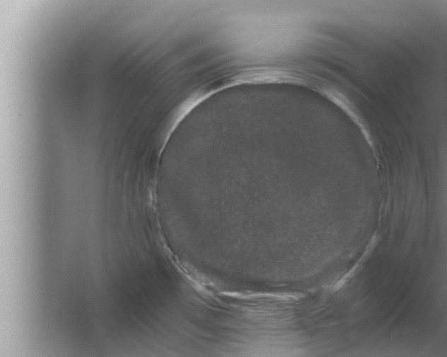 X0000063501481200602032004