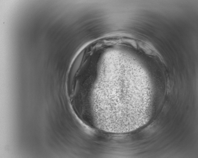 X0000063501484200602032004