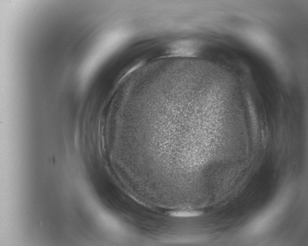 X0000063501487200602032004