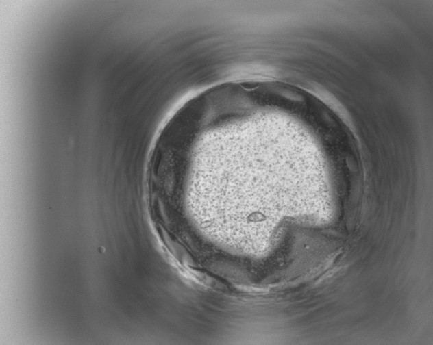 X0000063501488200602032004