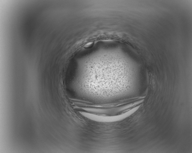 X0000063501489200602032003