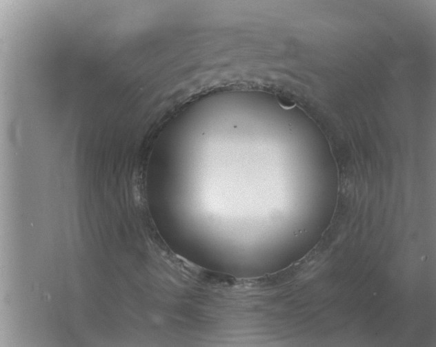 X0000063501490200602032003