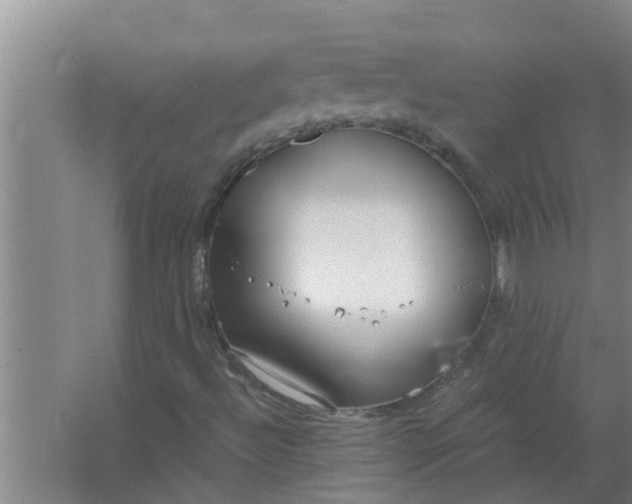 X0000063501492200602032004