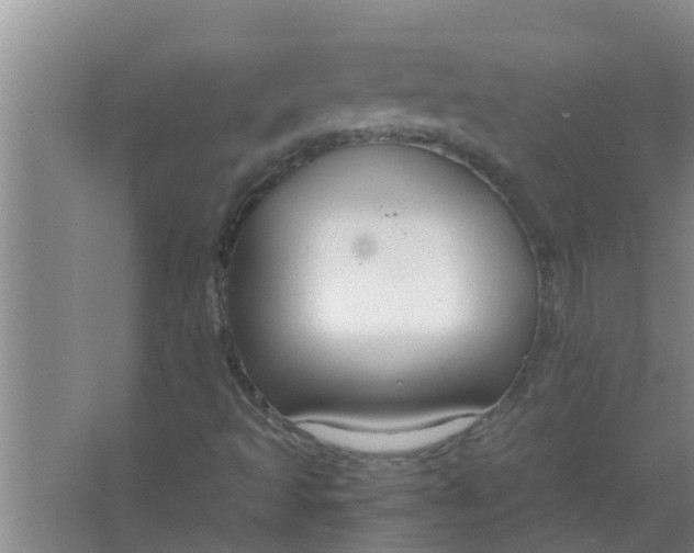 X0000063501493200602032004