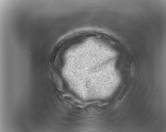 X0000063501494200602032004