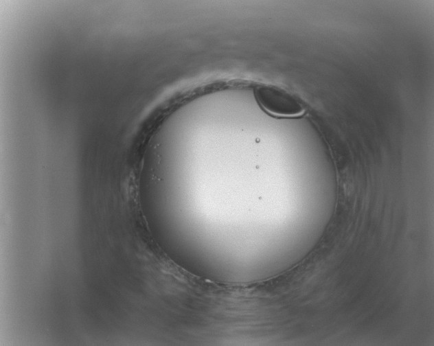 X0000063501495200602032004