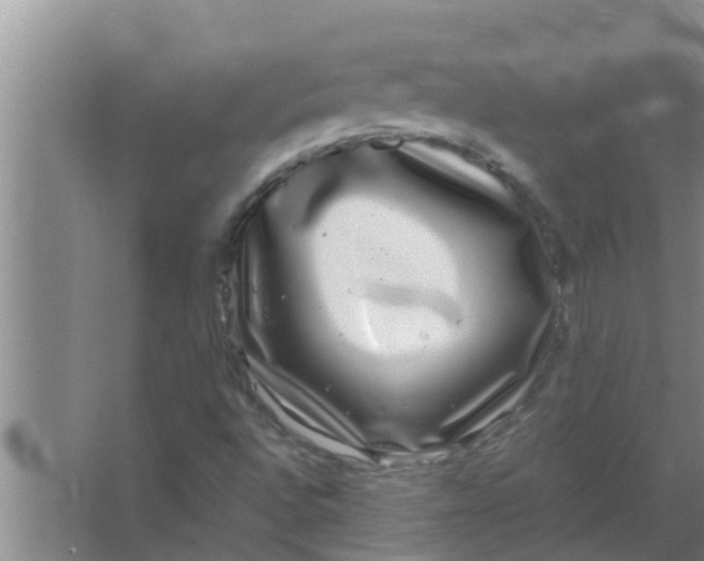 X0000063501496200602032004