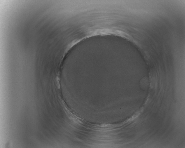 X0000063501497200602032004