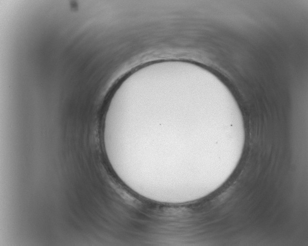 X0000063501498200602032004