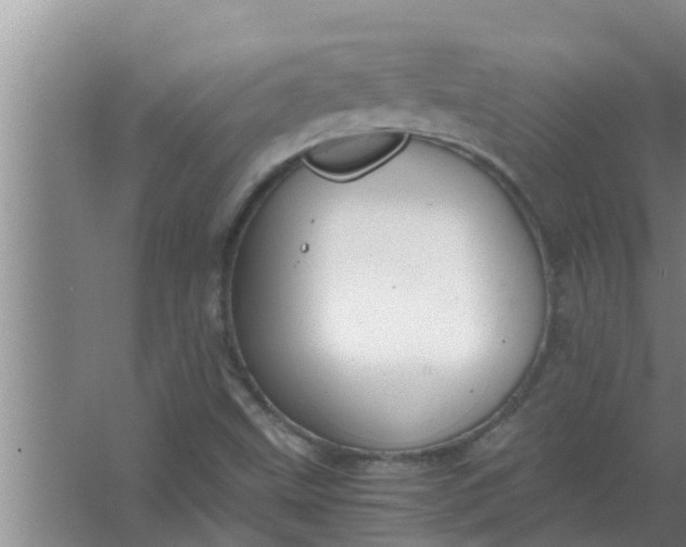 X0000063501499200602032004