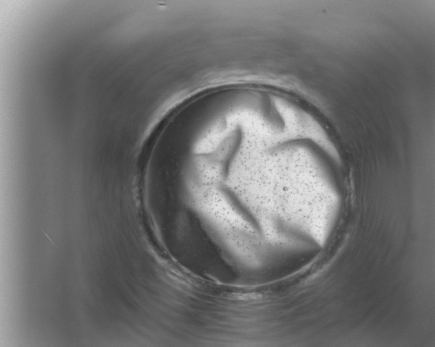 X0000063501501200602032004