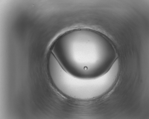 X0000063501502200602032004