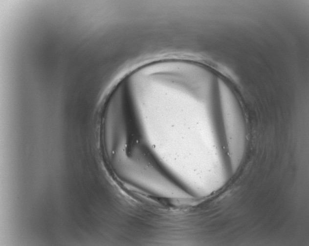 X0000063501504200602032004