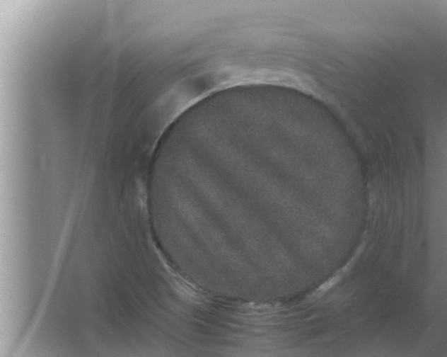 X0000063501505200602032004