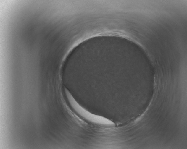 X0000063501506200602032004