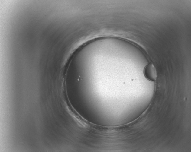 X0000063501507200602032004