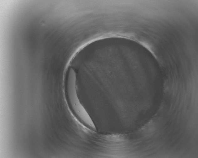 X0000063501508200602032004