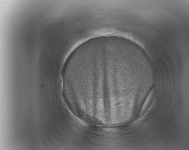 X0000063501509200602032004