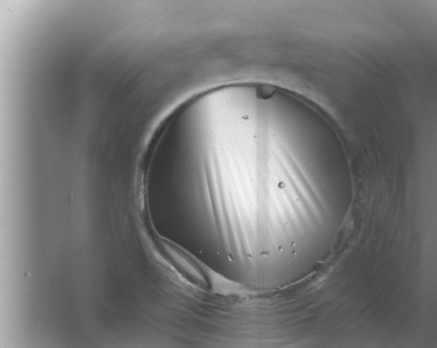 X0000063501510200602032004