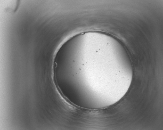 X0000063501512200602032004