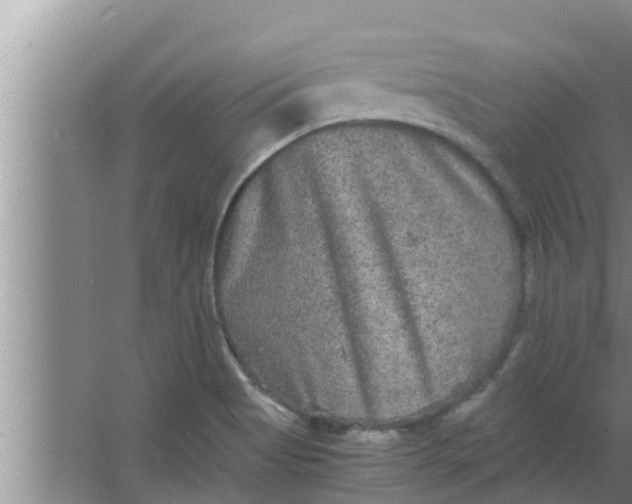 X0000063501513200602032004