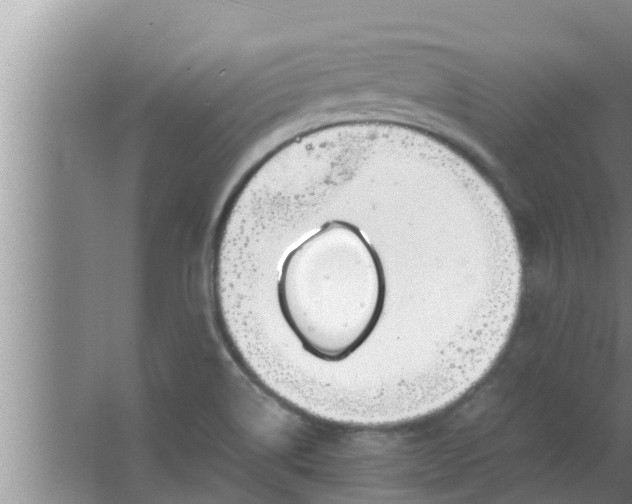 X0000063501514200602032004