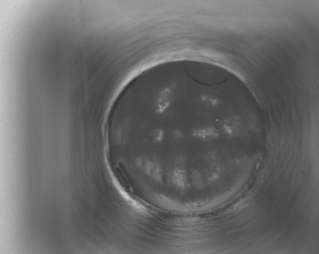 X0000063501515200602032004