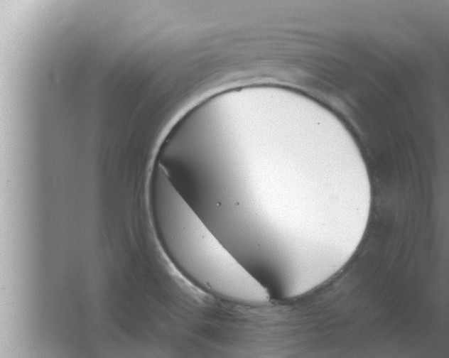 X0000063501516200602032004