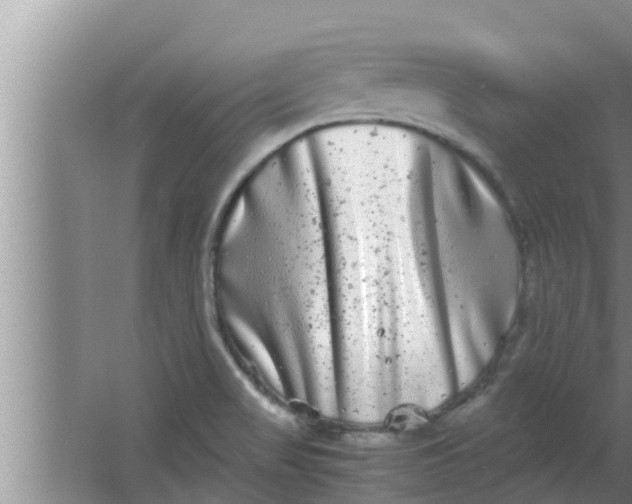 X0000063501517200602032004