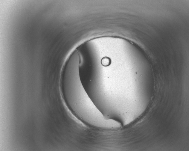 X0000063501518200602032004