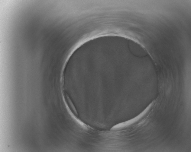 X0000063501519200602032004