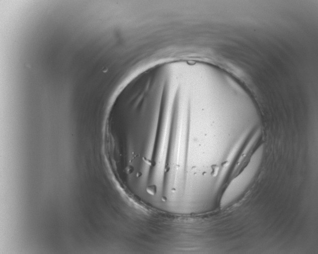 X0000063501520200602032004