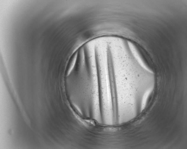 X0000063501521200602032004