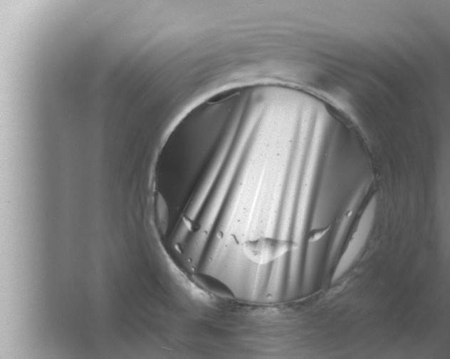 X0000063501524200602032004