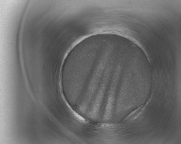 X0000063501525200602032004