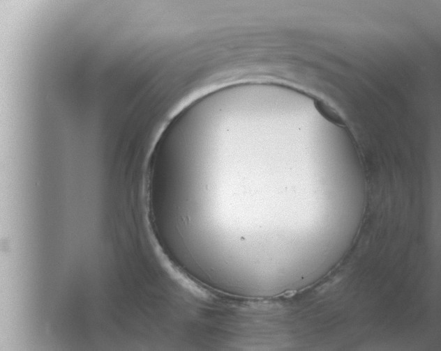 X0000063501526200602032004