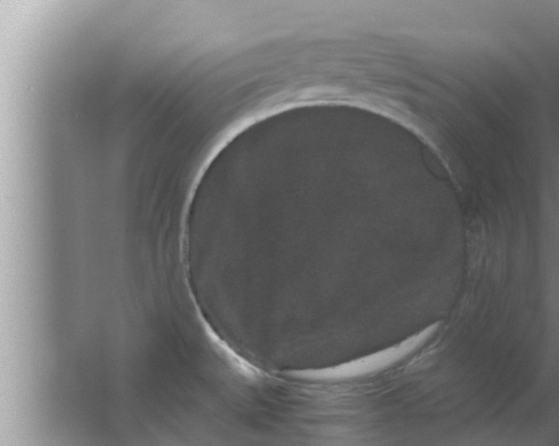 X0000063501527200602032004