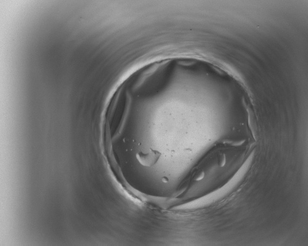 X0000063501528200602032004