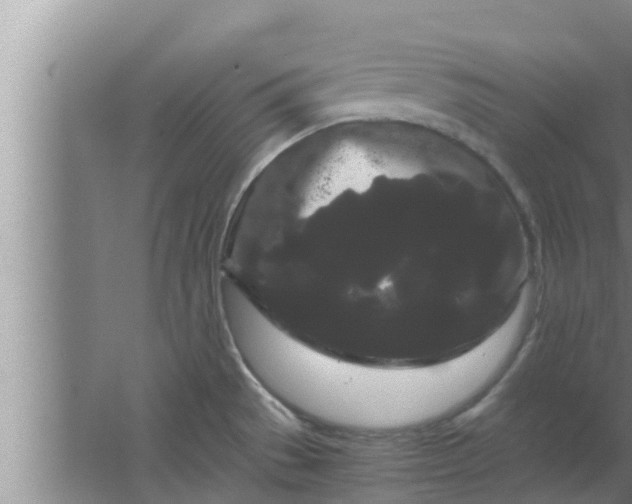 X0000063501529200602032004