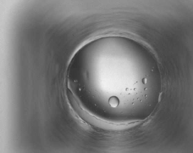 X0000063501530200602032004