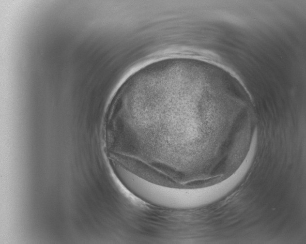 X0000063501531200602032004