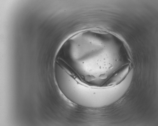 X0000063501532200602032004