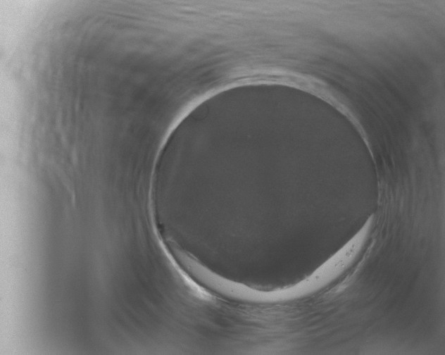 X0000063501533200602032004