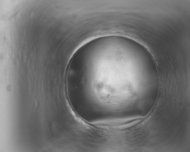 X0000063501534200602032004