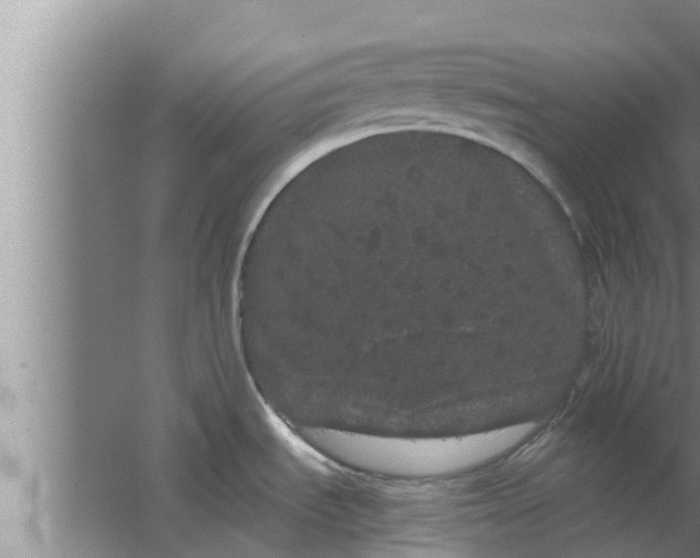 X0000063501535200602032004