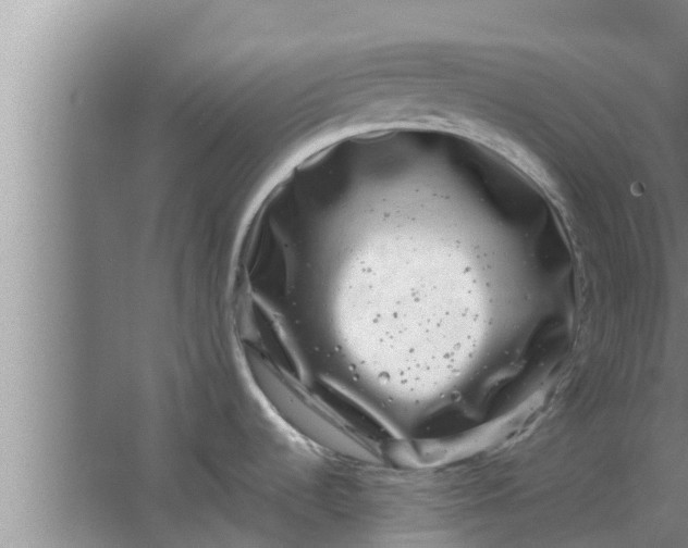 X0000063501536200602032004