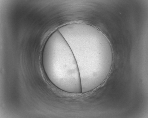 X0000063500001200602101911