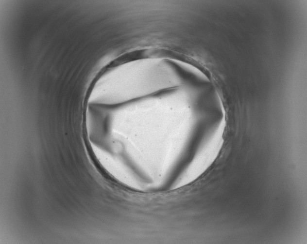 X0000063500003200602101911