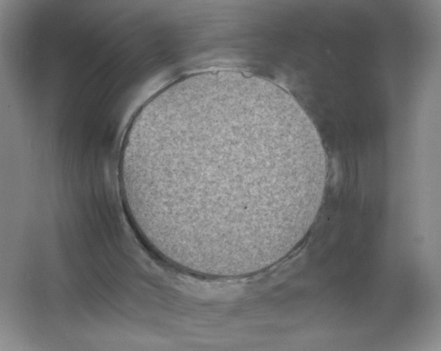 X0000063500004200602101911