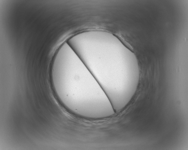 X0000063500005200602101911